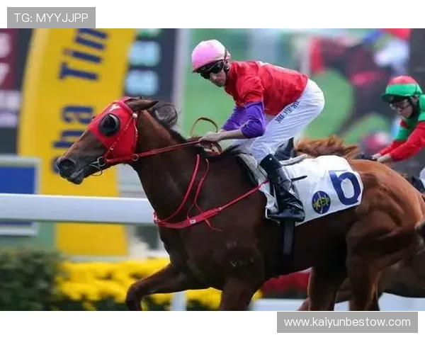 开云体育登录娱乐平台安全可靠，享受极速体育赛事体验