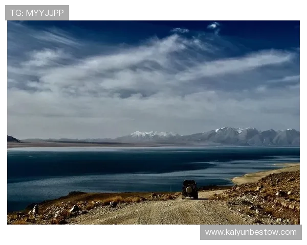 开云的网址访问指南，详细介绍如何安全快速进入官方平台的步骤